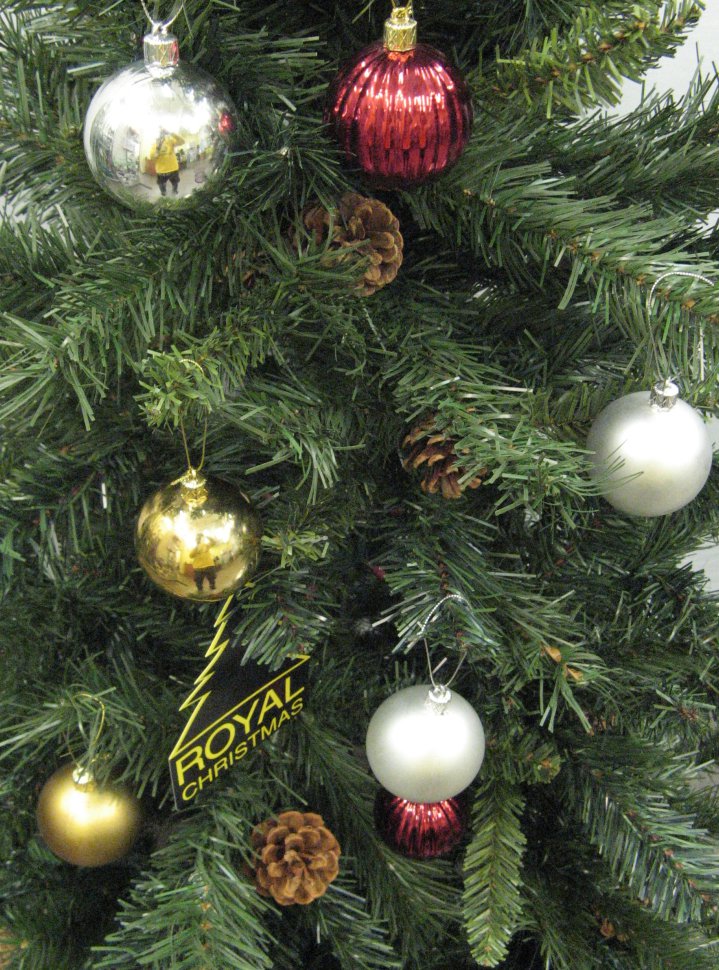 Ель Royal Christmas Detroit с шишками 527120 (120 см)